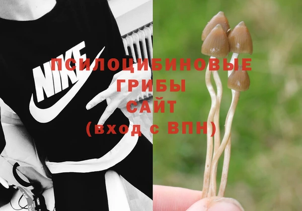 винт Белоозёрский
