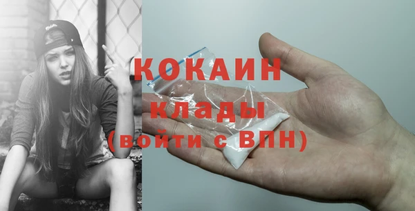 индика Белокуриха