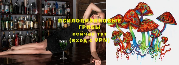винт Белоозёрский
