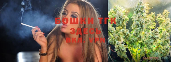 индика Белокуриха